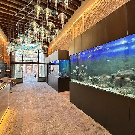 Hotel Aquarius Venice - Ascend Collection-3