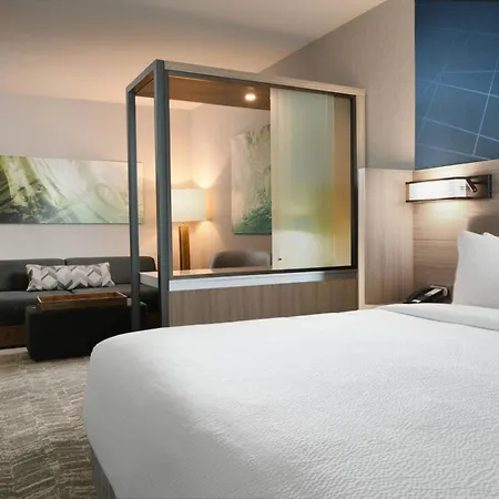 Springhill Suites Dallas Dfw Airport South/Centreport-2