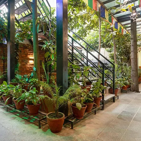 Oasis Kathmandu Hotel-3