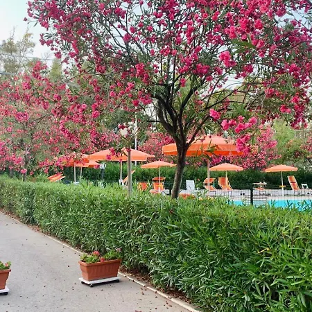 Viola Club Village & Camping-2