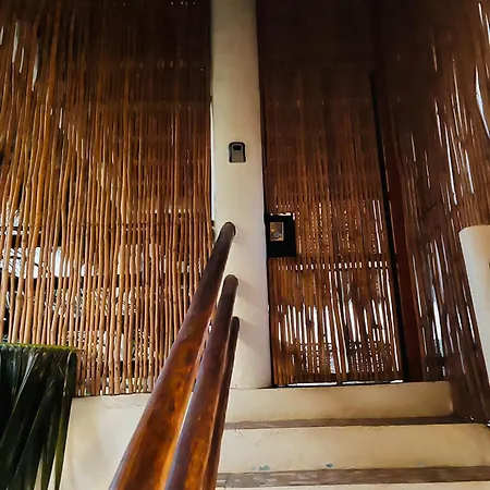 Bikini Beach House-3