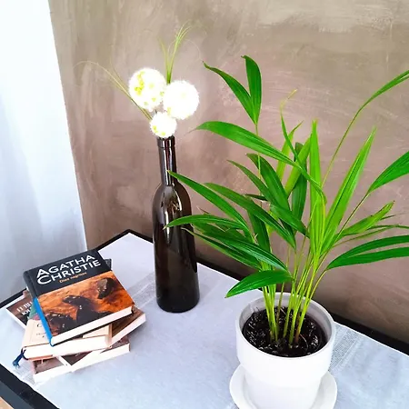 Apartamento independiente con parking privado gratuito y terraza de ensueño junto al Teatro Romano-3