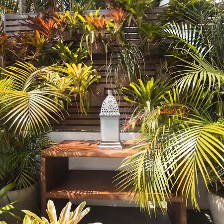Casas Brancas Boutique Hotel & Spa-3
