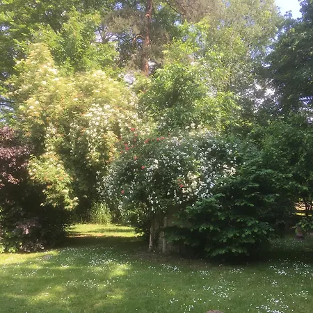 Domaine De Chantemerles-2