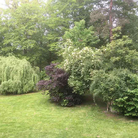 Domaine De Chantemerles-3