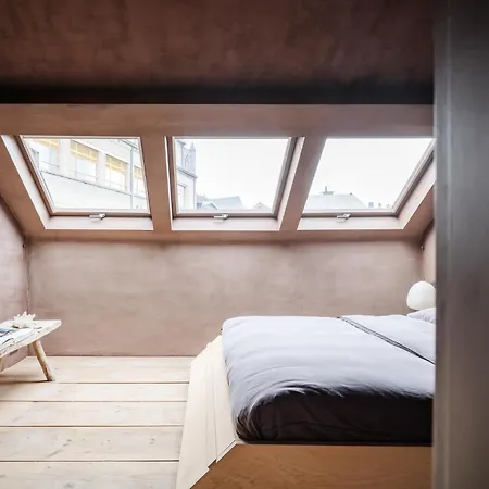 Shelter 7-2