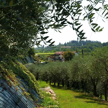 Residenza Vesentini-3