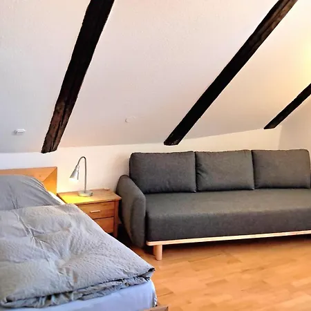 Apartment Brauner Hirsch-3