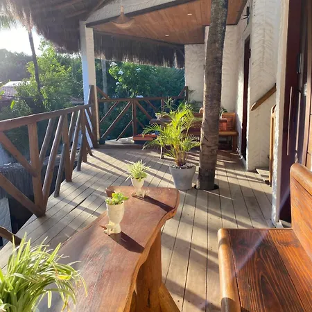 Casa Palmeira-3
