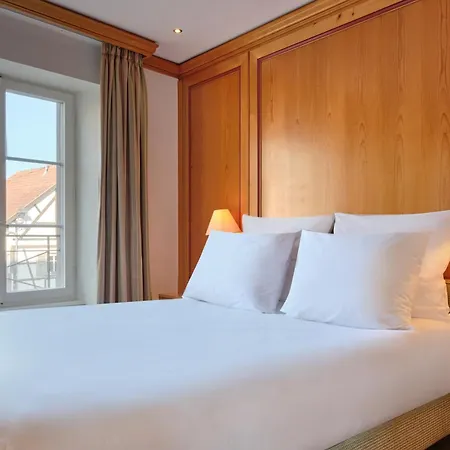 Hotel & Spa A La Cour D'Alsace By Happyculture-3