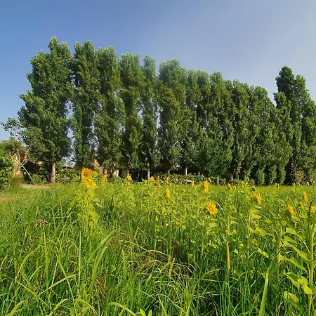 Fattoria Il Giardo-3