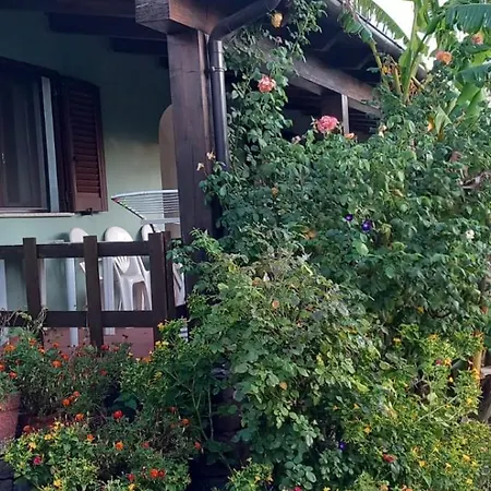 Agriturismo Su Tiresi-2