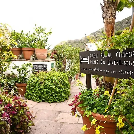 Casa Rural Chamorga - Pensión - Guesthouse --2