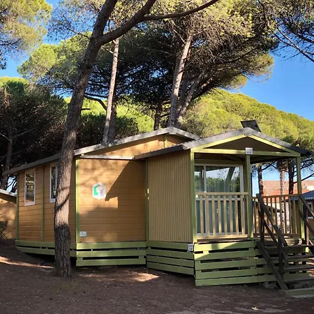 Camping La Tamarissiere-2