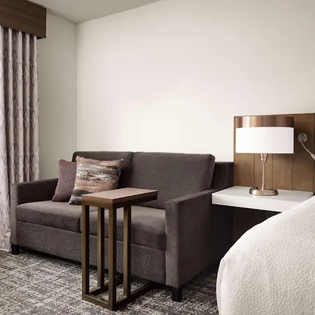 Hilton Garden Inn Detroit Downtown-3