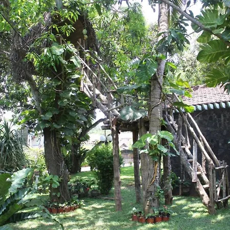 Villa Shade-2