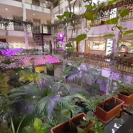 Solitaire Hotel-2
