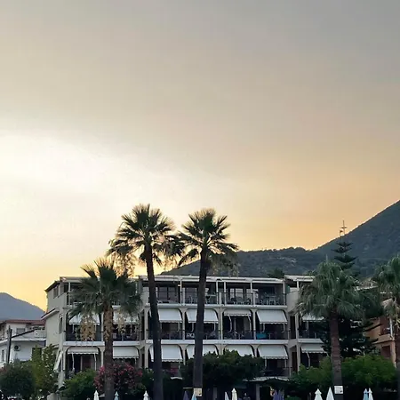 Palm Trees Hotel-3