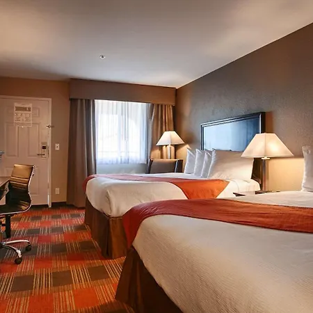 Best Western Willows Inn-3