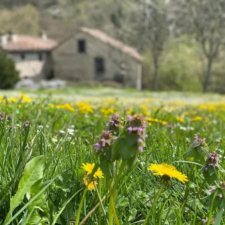 Borgo Corniola B&B Naturista-3
