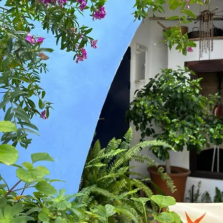 Hostal Casa Alborada-2