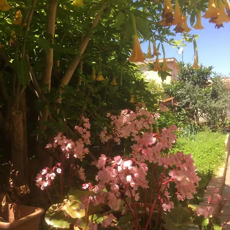 Casa de Aurora-2