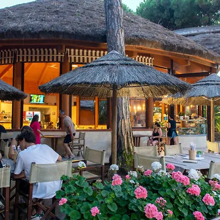 Camping Mare e Pineta-3