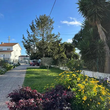 Casa Das Camelias-3
