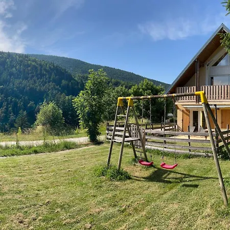 Chalet de Montagne Villard de Lans-3