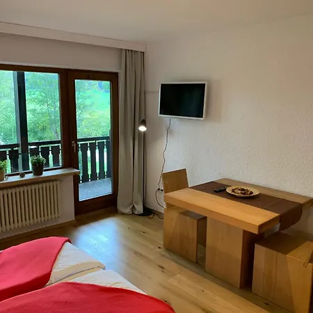 Hotel Josen-2