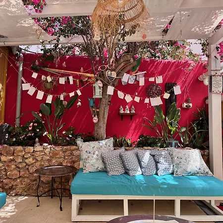 Orange Terrace Hostel-2