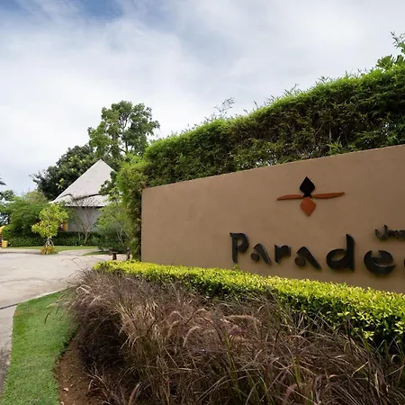 Paradee (Adults Only)-3