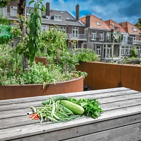 Court Garden Hotel - Ecodesigned-3