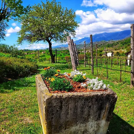 Agriturismo al Capitello-2