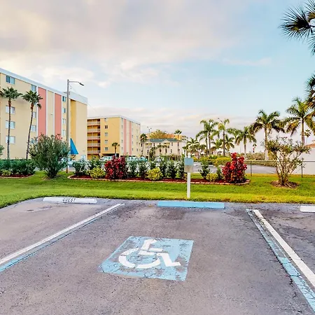Beach Palms 309-3
