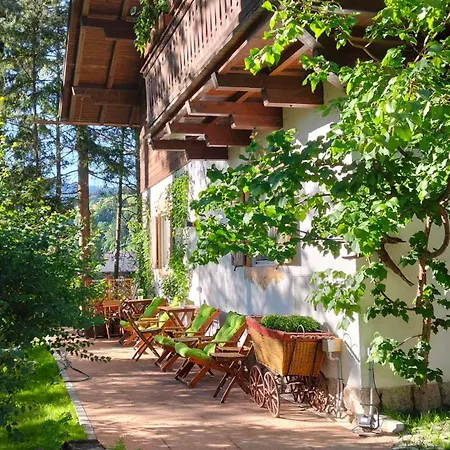 B&B Villa Dolomites Hut-3