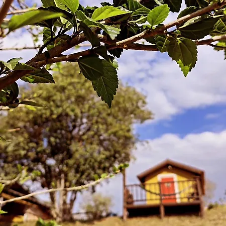 Pousada E Camping Pe Na Trilha-2