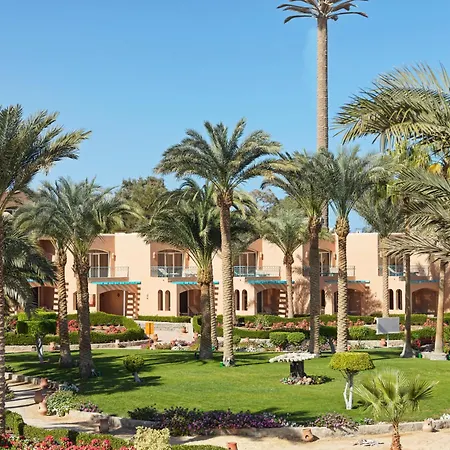 Club Paradisio El Gouna Red Sea-3