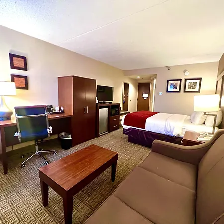 Comfort Inn Latham - Albany North-3