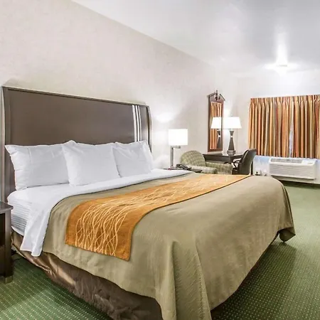 Comfort Inn Yosemite Area-3