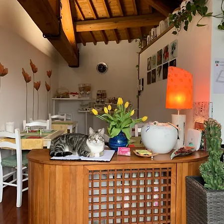 B&B Casanova-3