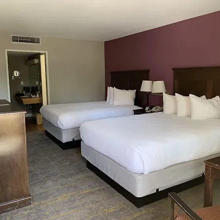 Vagabond Motor Hotel - Palm Springs-2
