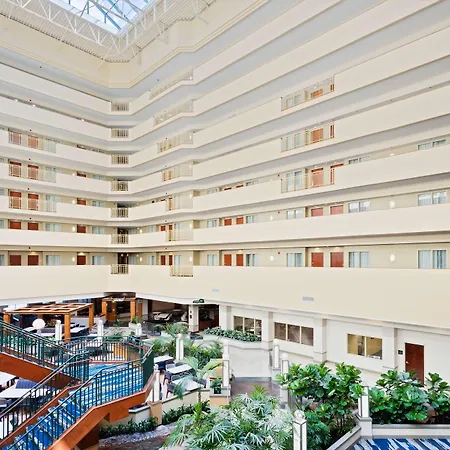 Embassy Suites By Hilton Tampa Usf Near Busch Gardens-3