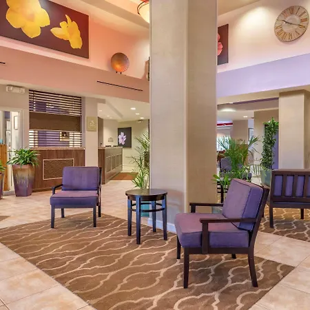 Comfort Suites Maingate East-3