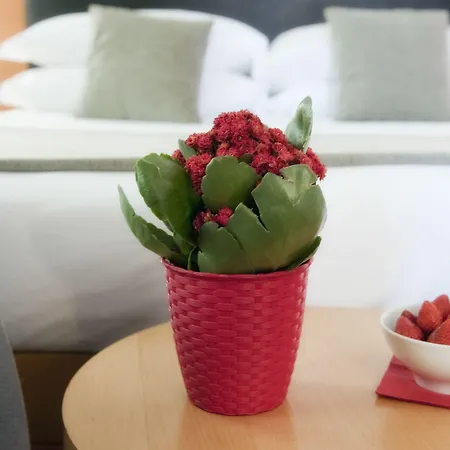 Best Western Ars Hotel-2