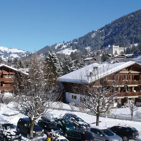 Hotel Arc-en-ciel Gstaad-2
