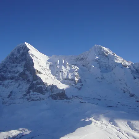 Hotel Silberhorn - Residences & Spa Wengen-2