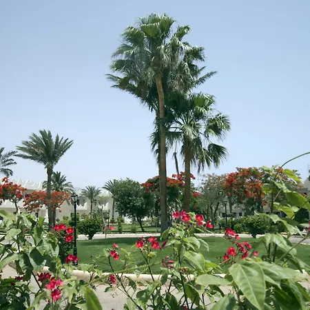 Swiss Inn Resort Dahab-3