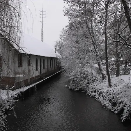 Hotel D'Alsace-2