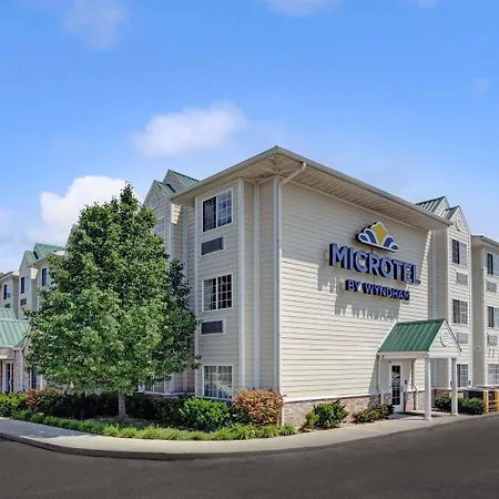 Microtel Inn & Suites By Wyndham Indianapolis Airport-3